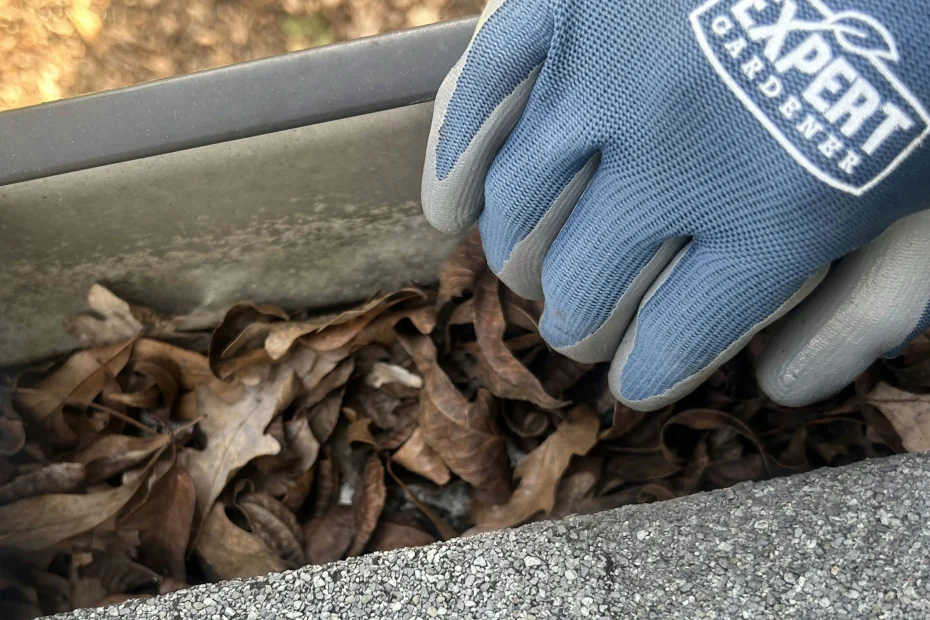 Gutter Cleaning Mt Washington