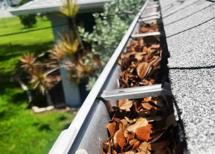 Gutter Cleaning Mt Washington home page